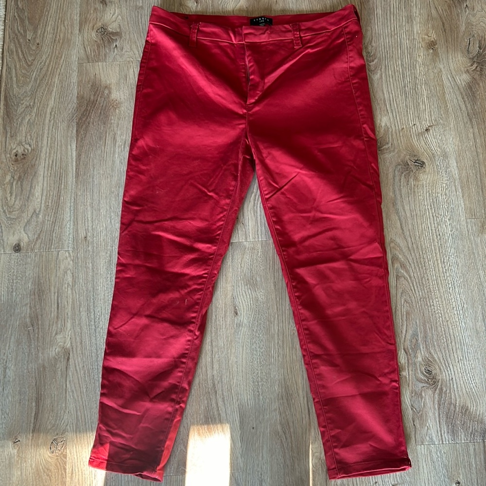 Tinsel Red Pants